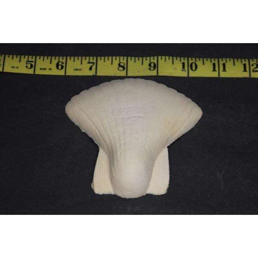 Shell Merkin Foam Latex Prosthetic